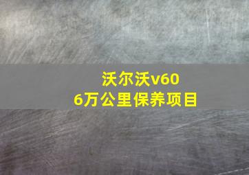 沃尔沃v60 6万公里保养项目